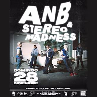 ANB X STEREO MADNESS by No Art Factory